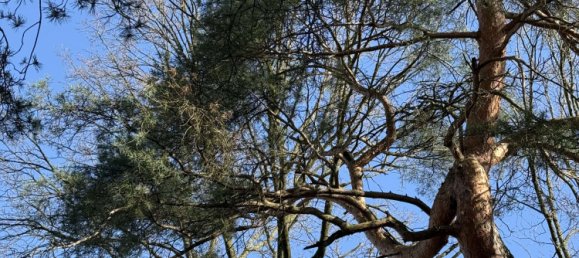 Casa T5 em Mulheim an der Ruhr, Germany N.º 39288 6