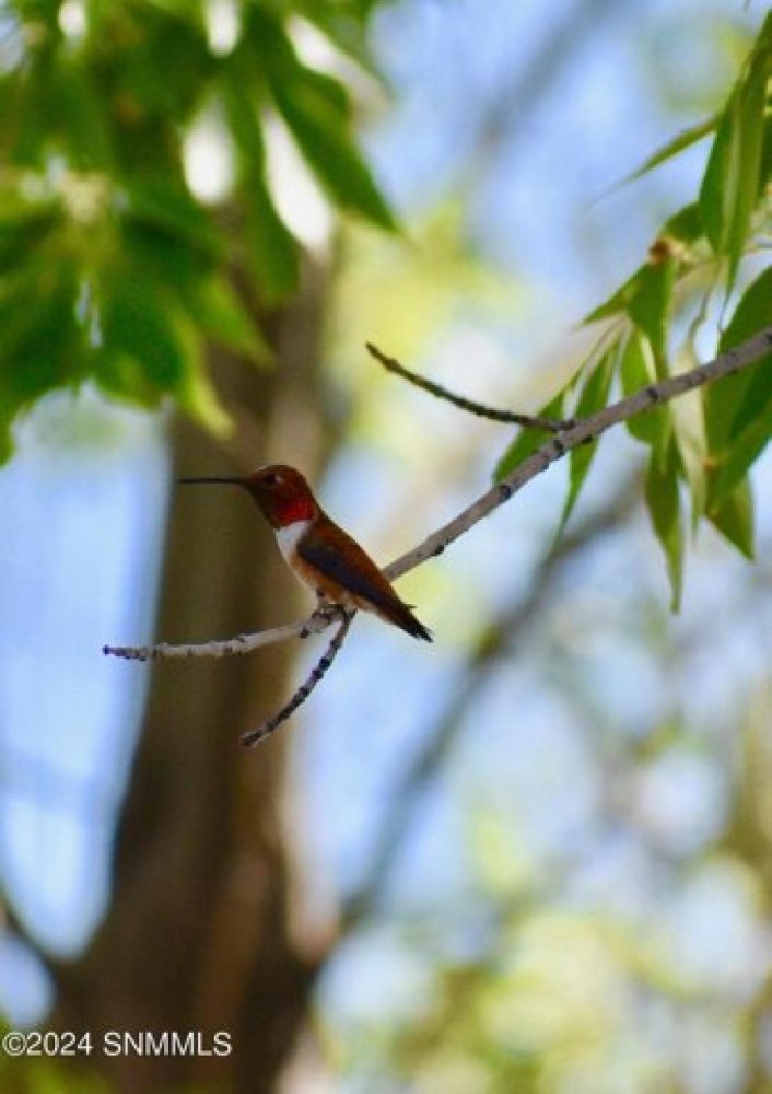 2 bedrooms House in Las Cruces, USA No. 380661