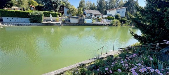 4 rooms House in Lassee, Austria No. 254234 5