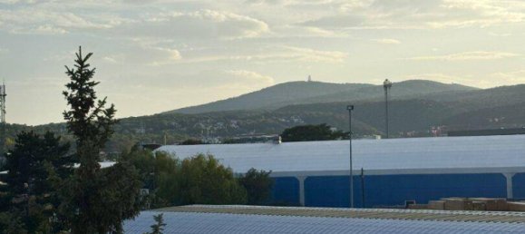 3-Zimmer Wohnung in Mödling, Austria, Nr. 236603 3