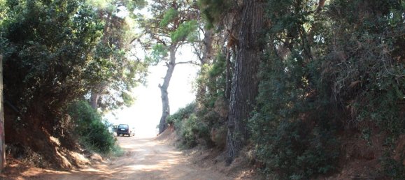  تاون هاوس في Chalkidiki, Greece 580متر مربع رقم 8111 17