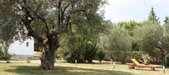  تاون هاوس في Chalkidiki, Greece 580متر مربع رقم 8111 6