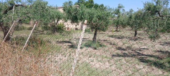 10280m² Land in Castelvetrano, Italy No. 298048 4