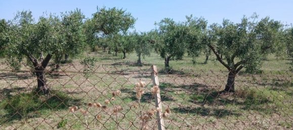 10280m² Land in Castelvetrano, Italy No. 298048 9