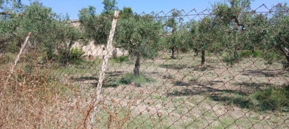 10280m² Land in Castelvetrano, Italy No. 298048 5