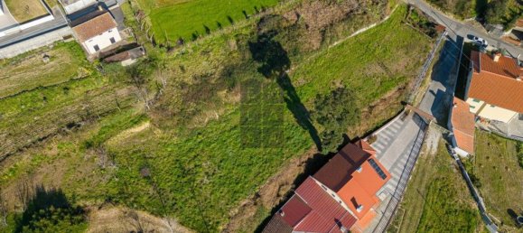 Grundstück in Oliveira de Azemeis, Portugal 2580m², Nr. 80147 11