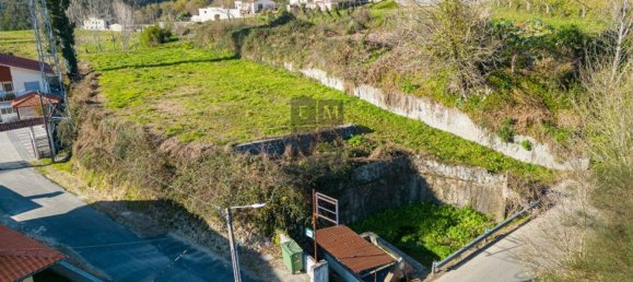 Grundstück in Oliveira de Azemeis, Portugal 2580m², Nr. 80147 5