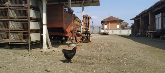 6 rooms House in Castagnole Piemonte, Italy No. 70735 12