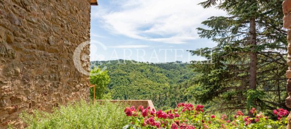 20 bedrooms Villa in Gaiole in Chianti, Italy No. 152139 21