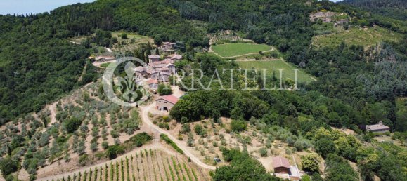 20 bedrooms Villa in Gaiole in Chianti, Italy No. 152139 2