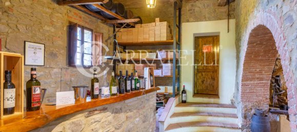 20 bedrooms Villa in Gaiole in Chianti, Italy No. 152139 44