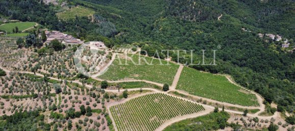 20 bedrooms Villa in Gaiole in Chianti, Italy No. 152139 3