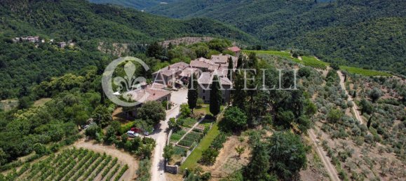 20 bedrooms Villa in Gaiole in Chianti, Italy No. 152139 4