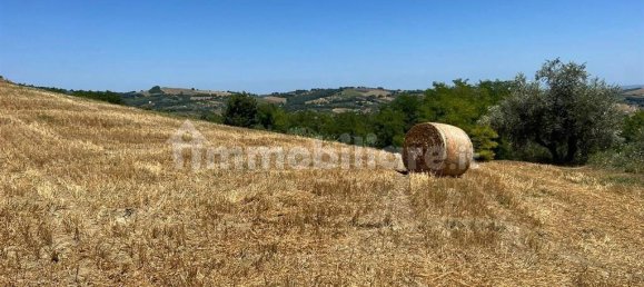 3 Schlafzimmer Haus in Civitella Casanova, Italy, Nr. 221954 18