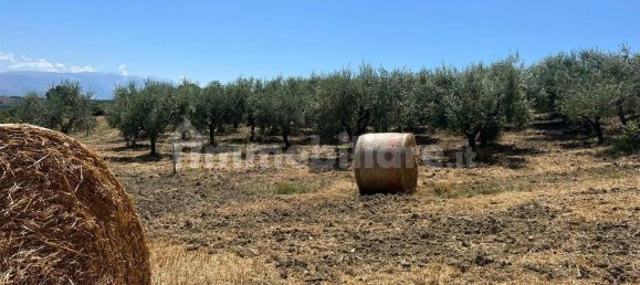 3 Schlafzimmer Haus in Civitella Casanova, Italy, Nr. 221954 12