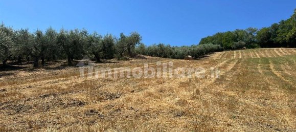 3 Schlafzimmer Haus in Civitella Casanova, Italy, Nr. 221954 15