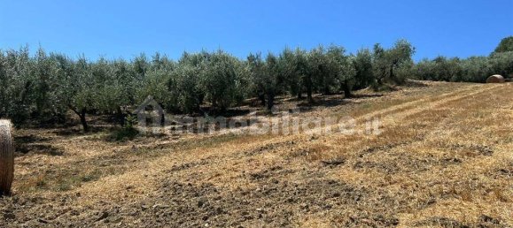 3 Schlafzimmer Haus in Civitella Casanova, Italy, Nr. 221954 11