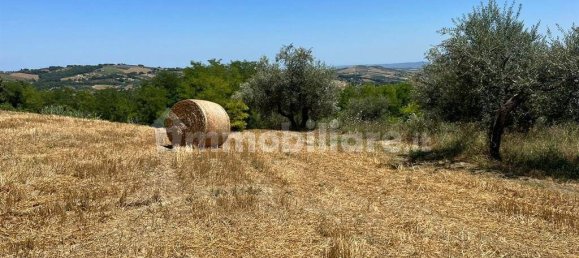 3 Schlafzimmer Haus in Civitella Casanova, Italy, Nr. 221954 19