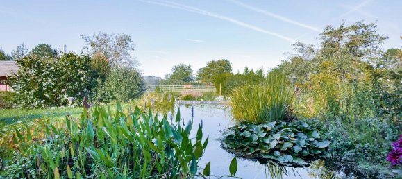 Granja de 13 habitaciónes en Emmendingen, Germany No. 79323 3