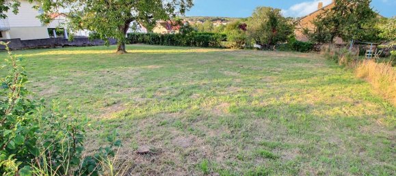 Terrain à Teting-sur-Nied, France No. 234203 3