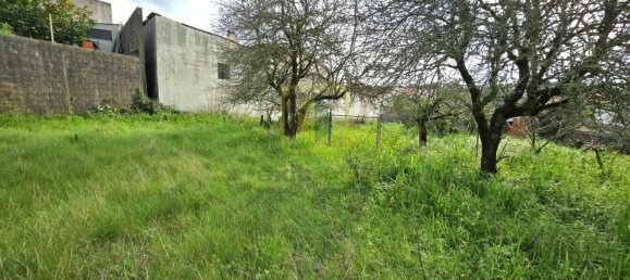 1 bedroom House in Figueira da Foz, Portugal No. 73962 31