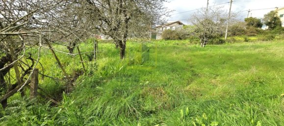 1 bedroom House in Figueira da Foz, Portugal No. 73962 28