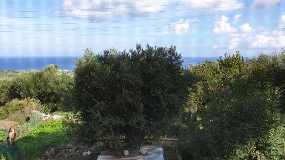 1 Schlafzimmer Haus in Zakynthos, Greece, Nr. 437