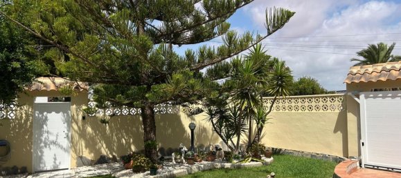 5 Schlafzimmer Haus in Torrevieja, Spain, Nr. 187032 6