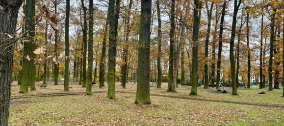 Квартира с 3 спальнями в Оффенбах, Германия № 208856 29