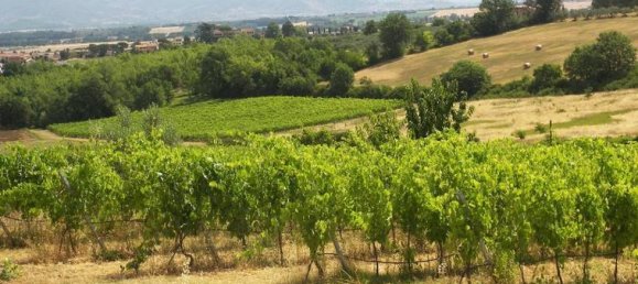 استوديو في Marciano della Chiana, Italy رقم 1490 5