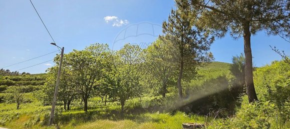 3 Schlafzimmer Haus in Baiao, Portugal, Nr. 15971 13