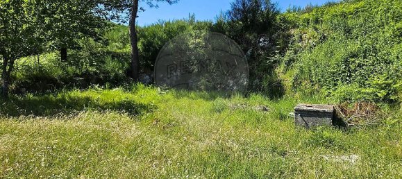 3 Schlafzimmer Haus in Baiao, Portugal, Nr. 15971 7