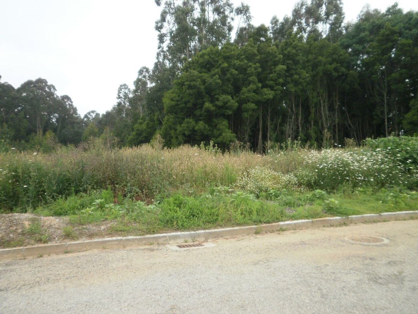 640m² Land in Arcozelo, Portugal No. 60719