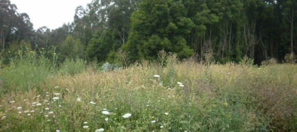 640m² Land in Arcozelo, Portugal No. 60719 2