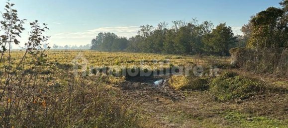 4 bedrooms House in Vermezzo con Zelo, Italy No. 378706 11