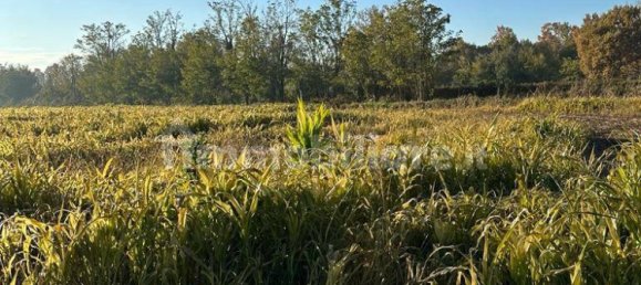 4 bedrooms House in Vermezzo con Zelo, Italy No. 378706 10