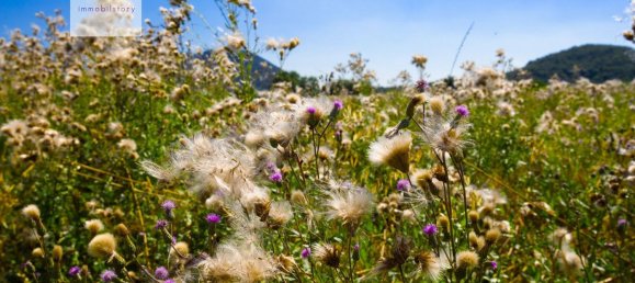 7720m² Land in Monselice, Italy No. 175222 4