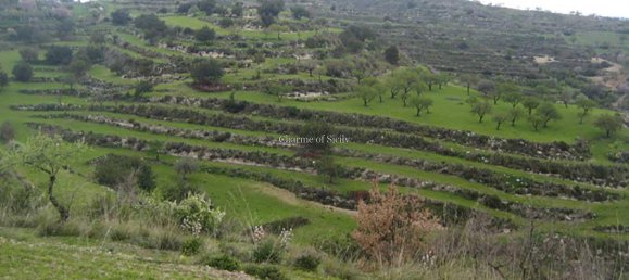 7 rooms House in Modica, Italy No. 224900 15