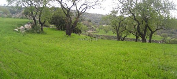 7 rooms House in Modica, Italy No. 224900 12