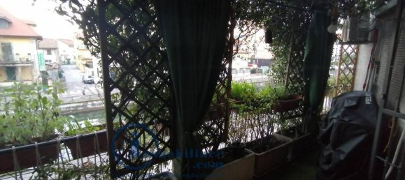 3-Zimmer Wohnung in Corsico, Italy, Nr. 38327 21