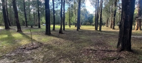 4102m² Land in Narbethong, Australia No. 505 10