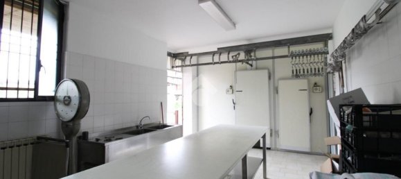  عقار تجاري في Dalmine, Italy 200متر مربع رقم 133741 16