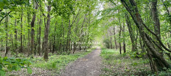 4 bedrooms House in Le Charme, France No. 64208 12