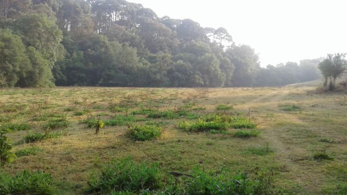 Terreno em Heroica Matamoros, Mexico N.º 206544
