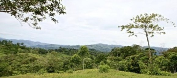  قطعة أرض في Turrialba, Costa Rica رقم 1673 5
