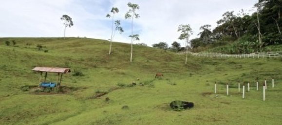 قطعة أرض في Turrialba, Costa Rica رقم 1673 4