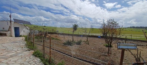 9 bedrooms House in Ourique, Portugal No. 47537 18