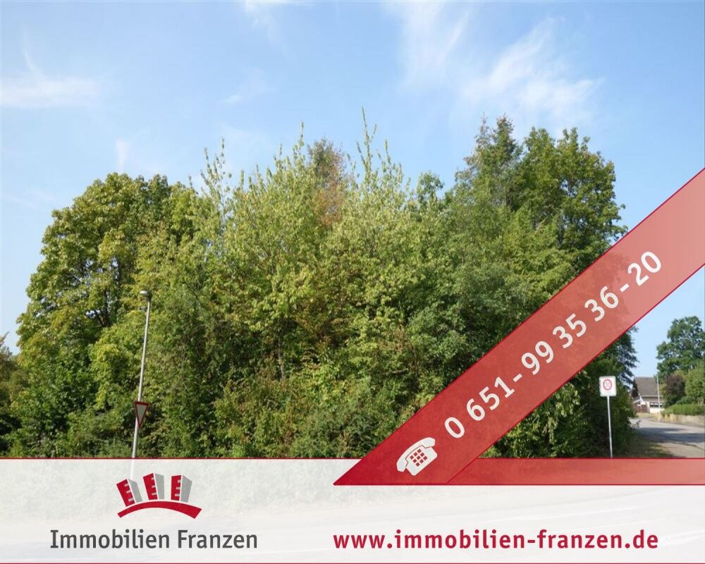 Terreno en Trier-Saarburg, Germany No. 144884