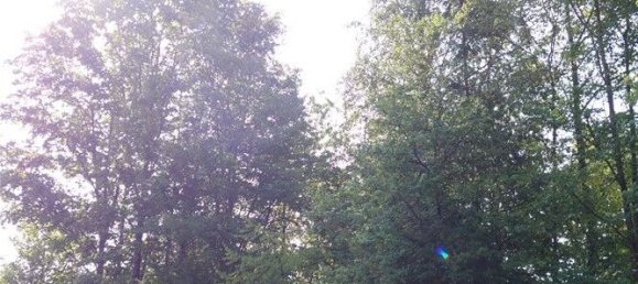 Terreno en Trier-Saarburg, Germany No. 144884 2