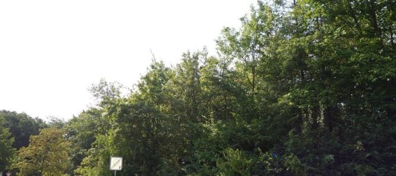 Terreno en Trier-Saarburg, Germany No. 144884 3